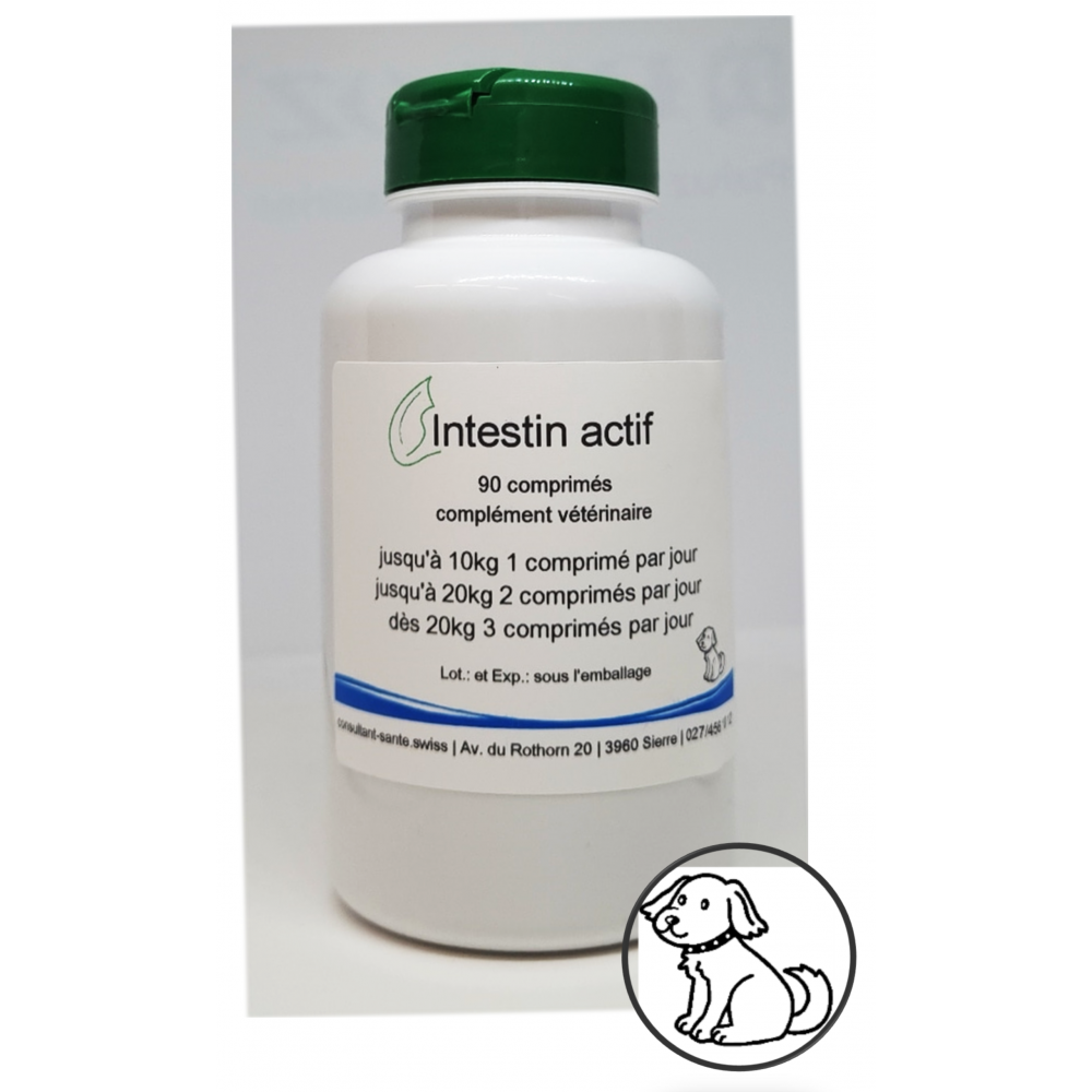 Intestin actif (vétérinaire) - 90 comprimés