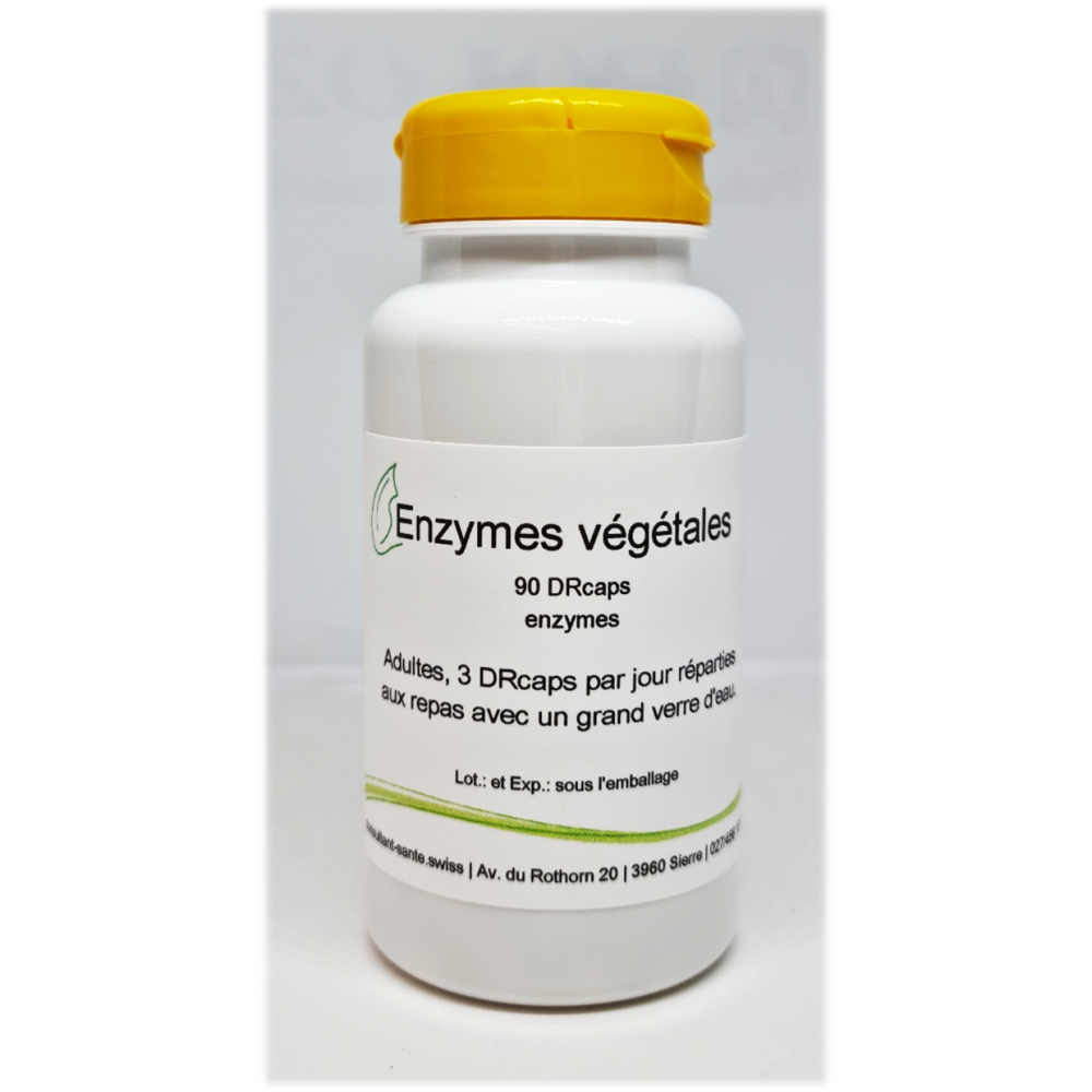 Enzymes végétales - 90 gélules