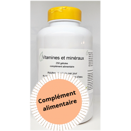 Vitamines et minéraux - 250 gélules