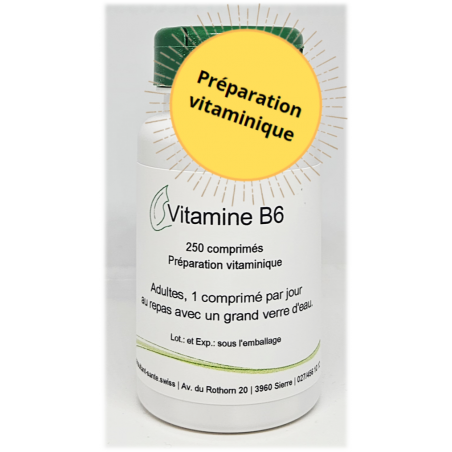 Vitamine B6 - 250 comprimés