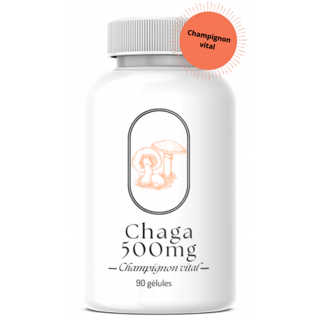 Chaga - 90 gélules