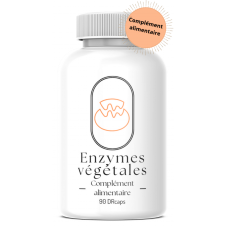 Enzymes végétales - 90 gélules