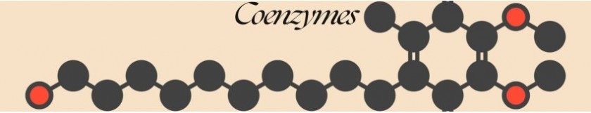 Coenzymes