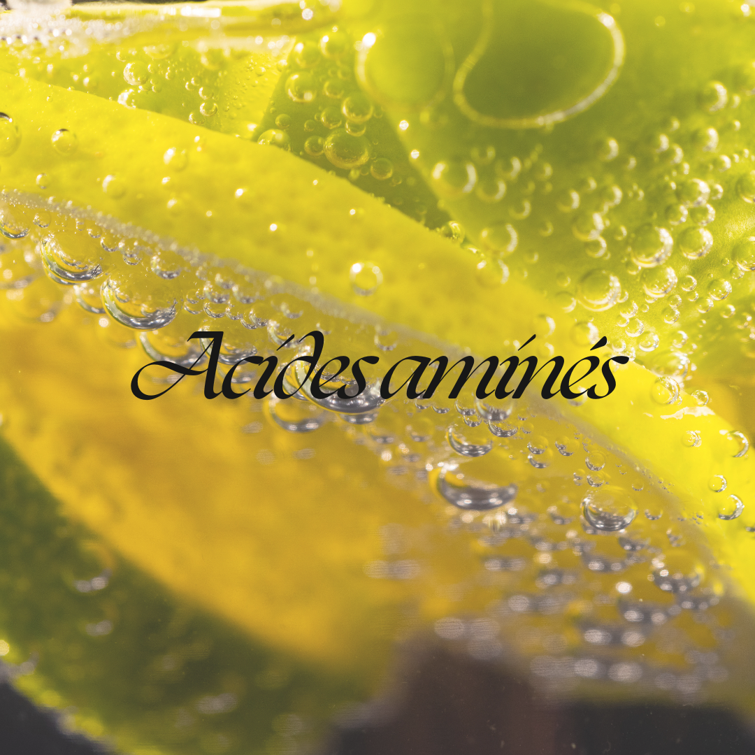 Acides Aminés
