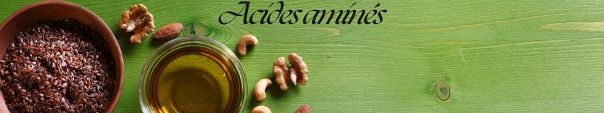 Acides Aminés