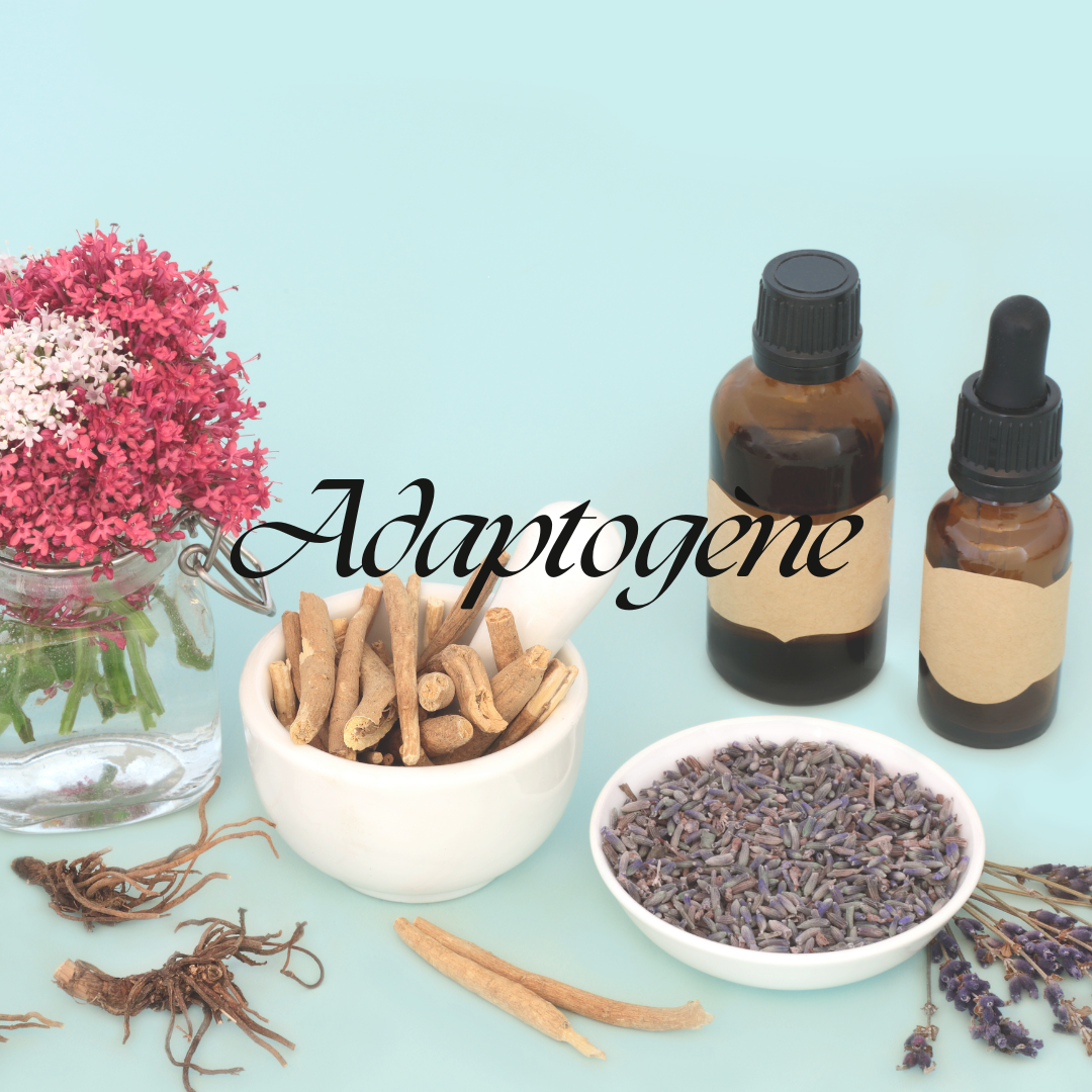 Adaptogène