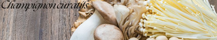 Champignons curatifs