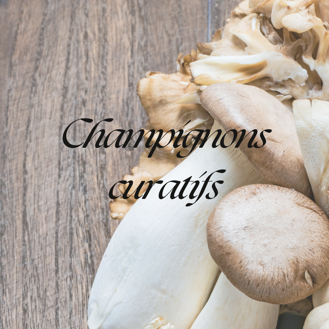 Champignons curatifs
