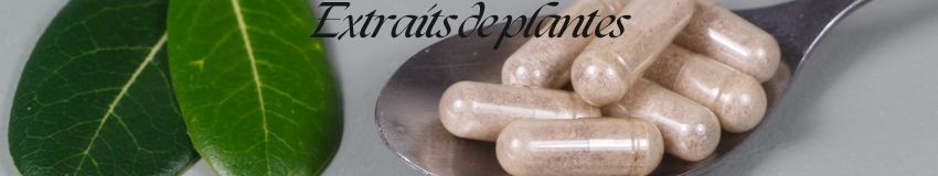 Extraits de plantes