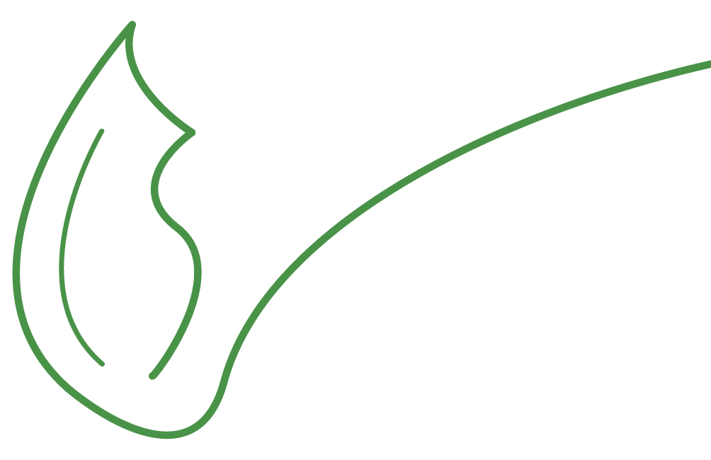 consultant-sante.swiss