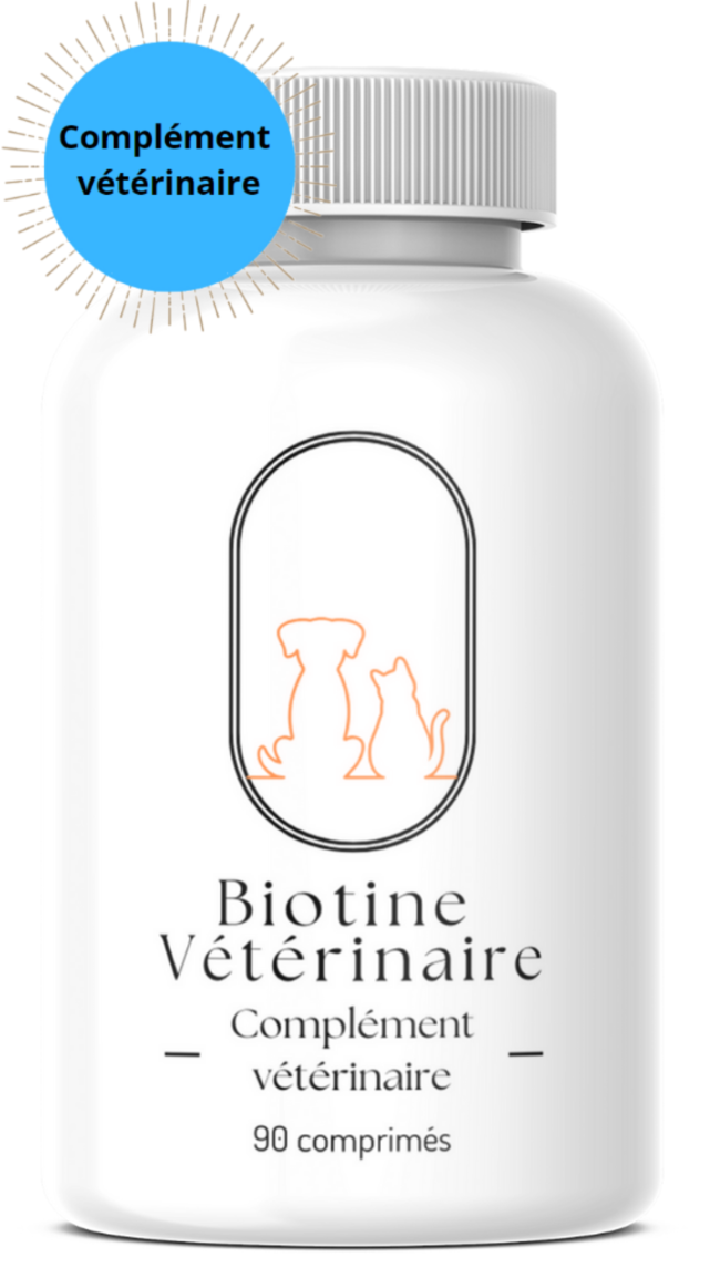 Biotine 800µg plus (veterinaire)