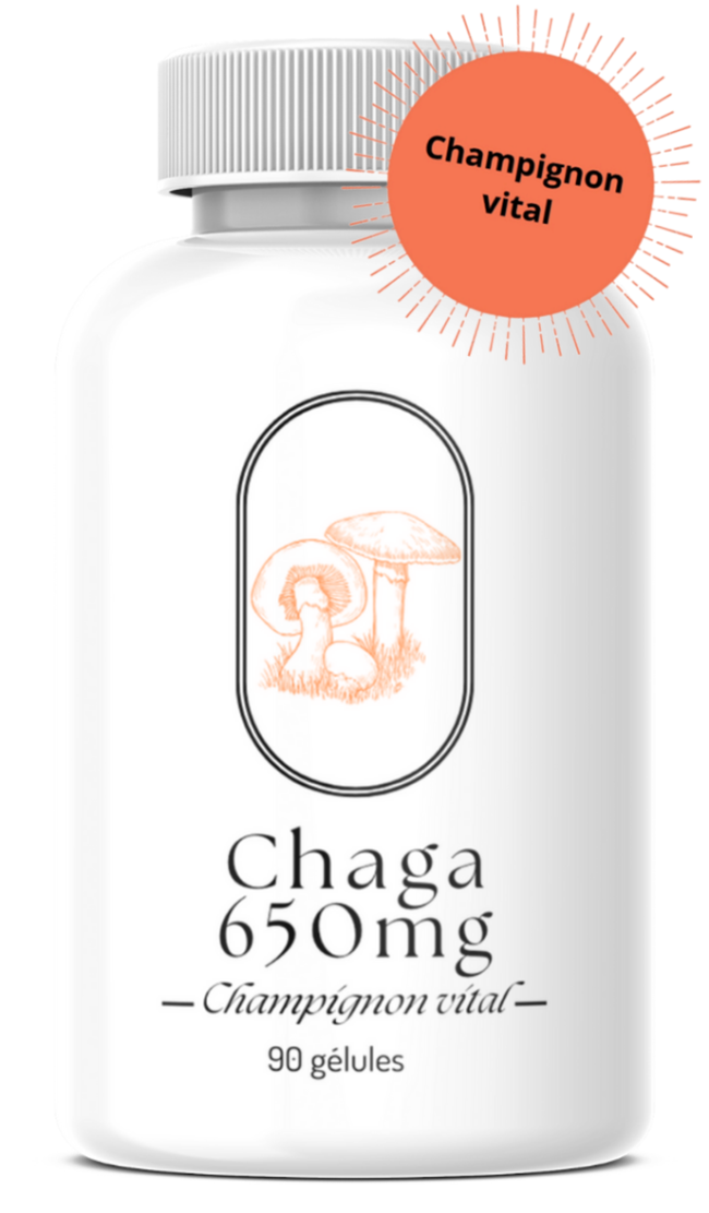 Chaga 650mg