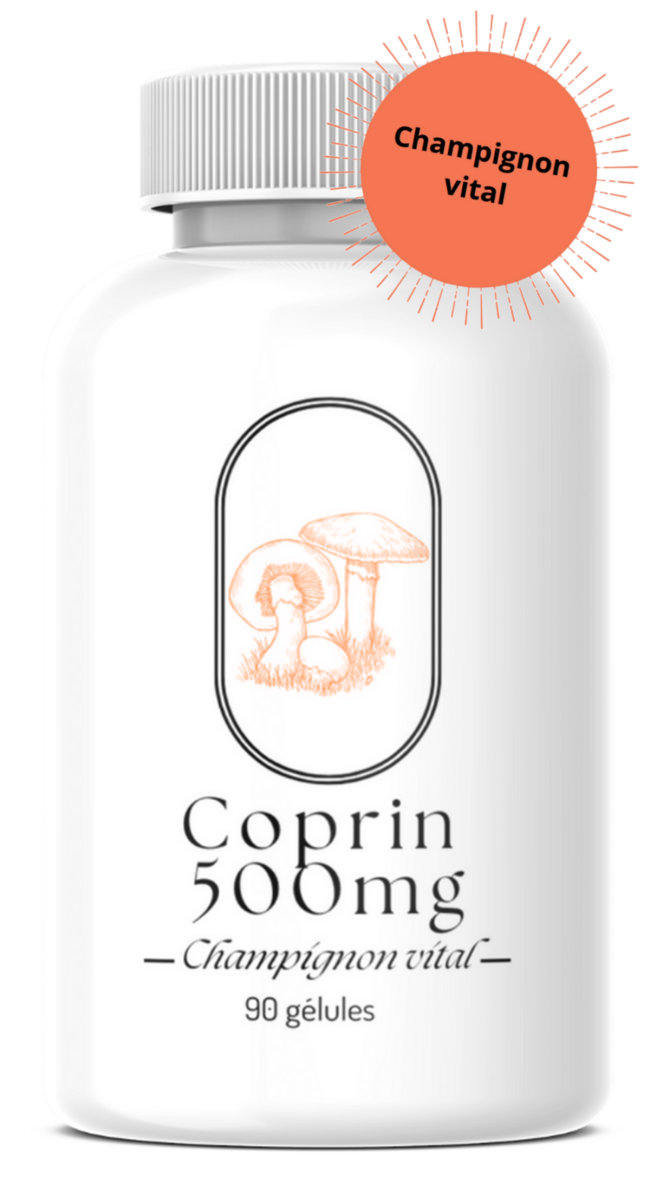 Coprin (Coprinus comatus)