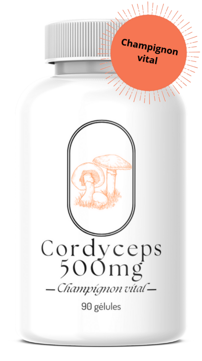 Cordyceps (Cordyceps sinensis)