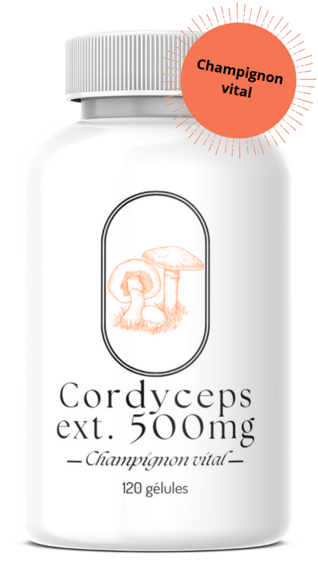 Cordyceps extrait 500mg