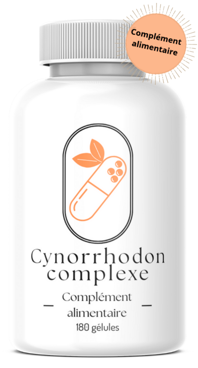Cynorrhodon complexe