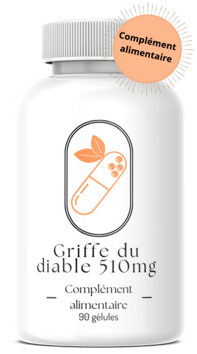 Griffe du diable 510mg
