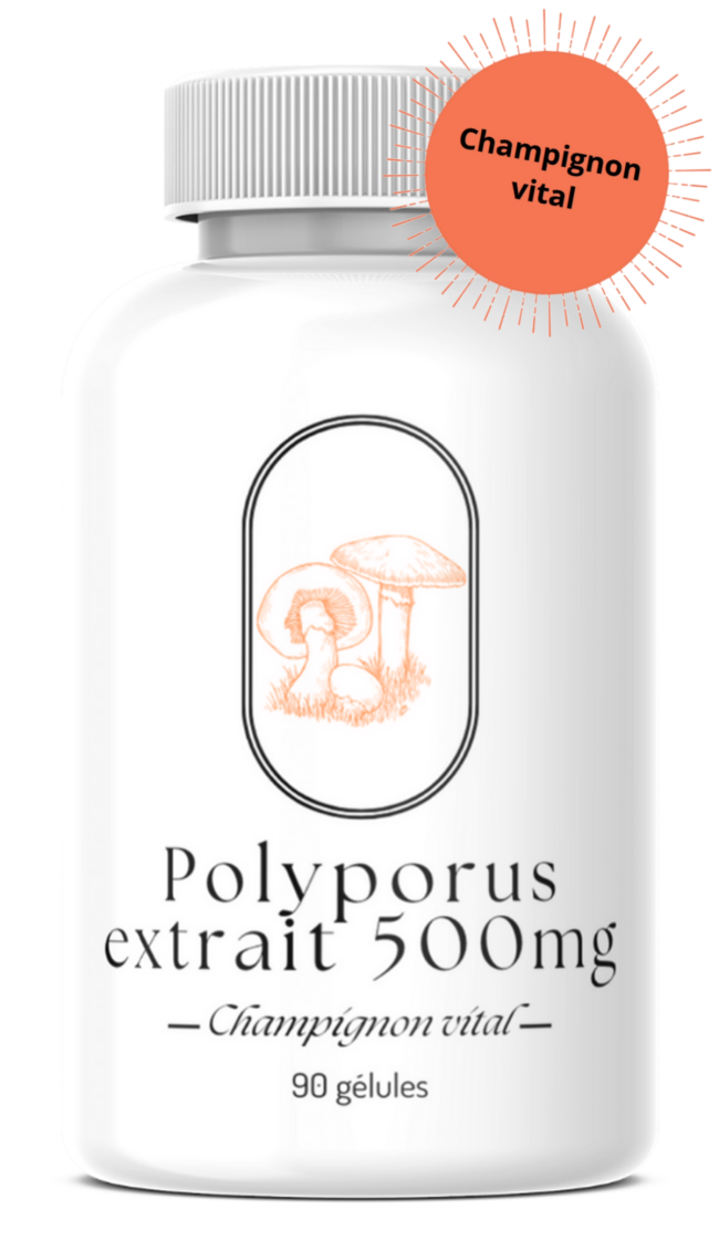 Polyporus extrait 500mg