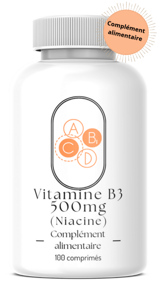 Vitamine B3 500mg (Niacine)